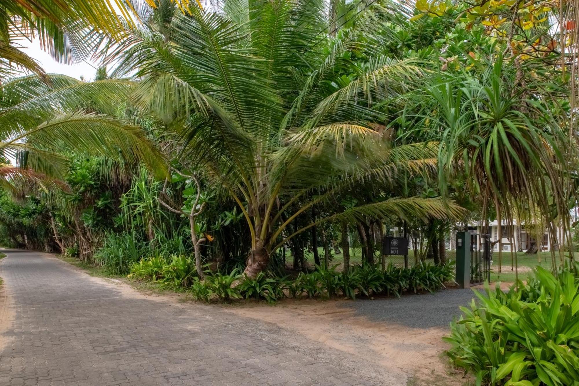 Bentota No 1 Villa Buitenkant foto